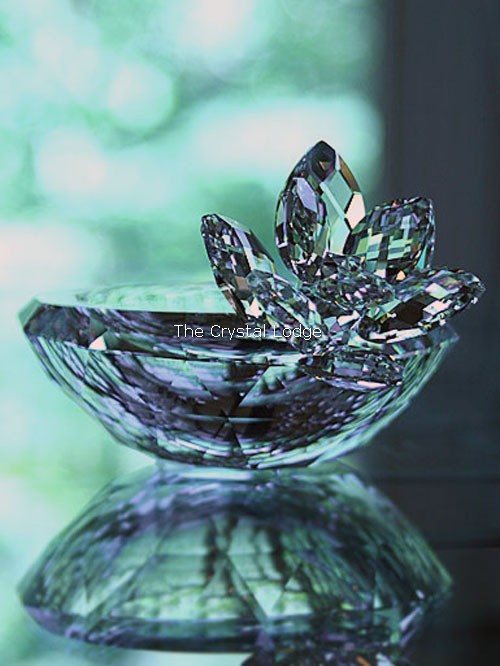Swarovski_bowl_Waterlily_956598 | The Crystal Lodge