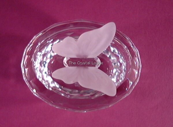 Swarovski_box_treasure_oval_butterfly_010117 | The Crystal Lodge