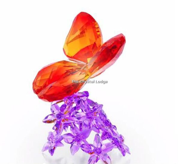 Swarovski_butterfly_on_flowers_5136833 | The Crystal Lodge