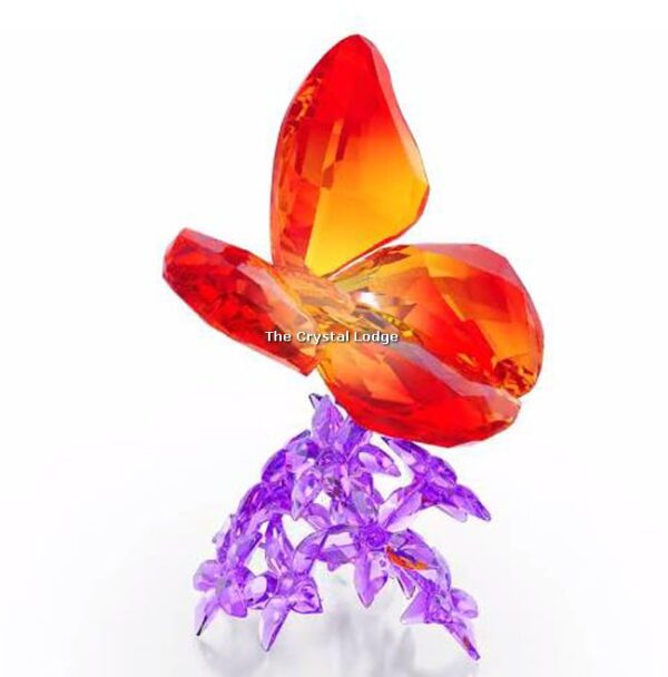 Swarovski_butterfly_on_flowers_5136833 | The Crystal Lodge