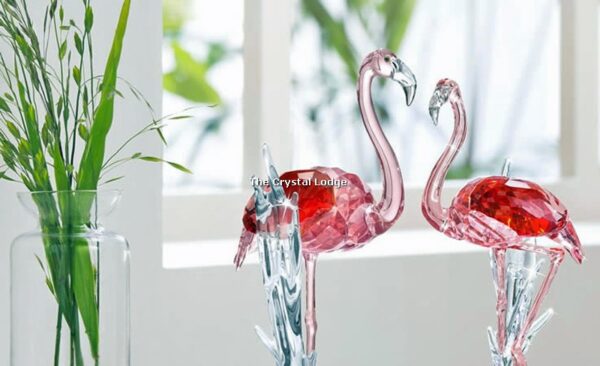 Swarovski_flamingo_2018_5302529 | The Crystal Lodge