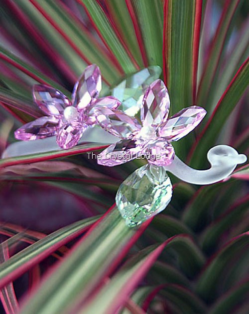 Swarovski_jasmine_917664 | The Crystal Lodge
