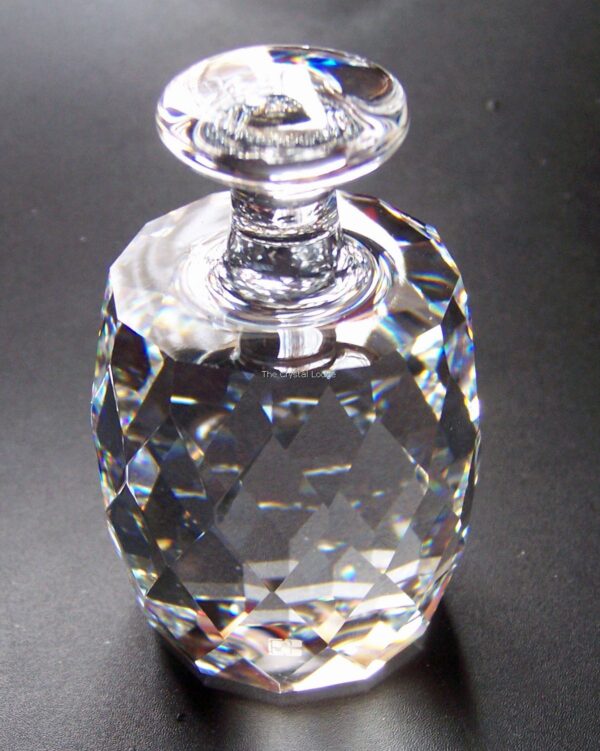 Swarovski_paperweight_one_ton_014318 | The Crystal Lodge