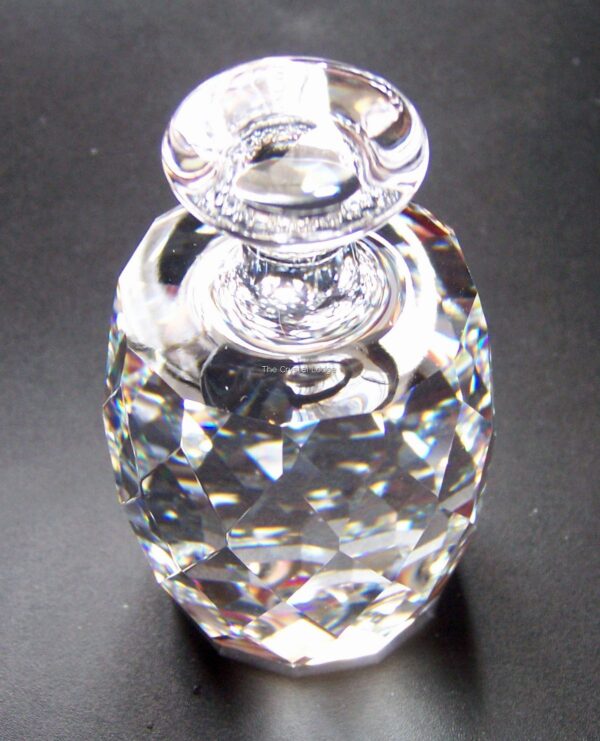 Swarovski_paperweight_one_ton_014318 | The Crystal Lodge