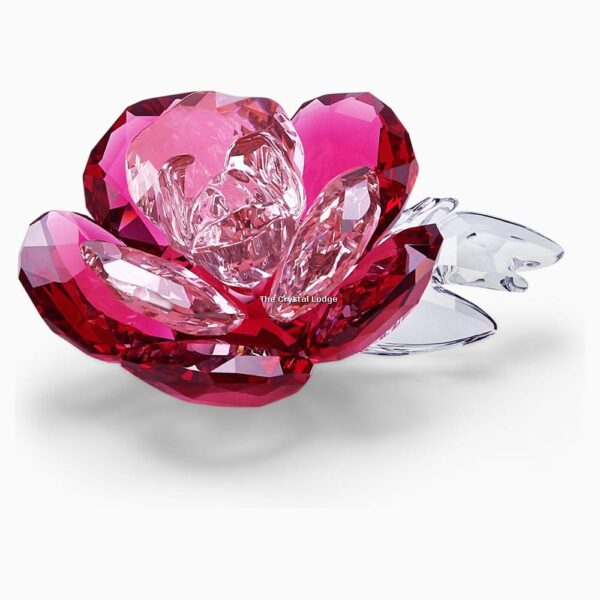 Swarovski_peony_2020_5493711 | The Crystal Lodge