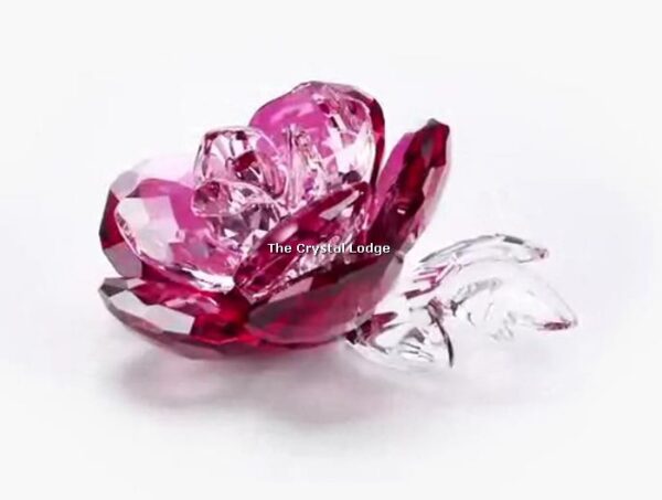 Swarovski_peony_2020_5493711 | The Crystal Lodge