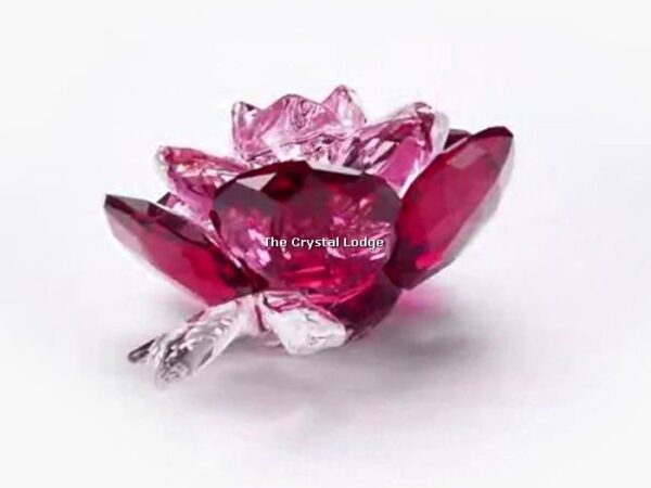 Swarovski_peony_2020_5493711 | The Crystal Lodge