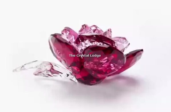 Swarovski_peony_2020_5493711 | The Crystal Lodge
