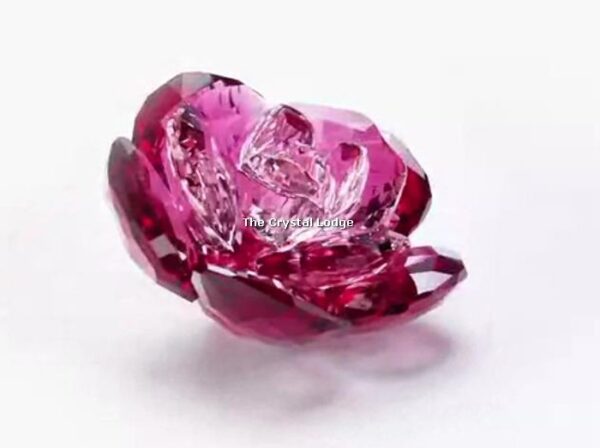 Swarovski_peony_2020_5493711 | The Crystal Lodge