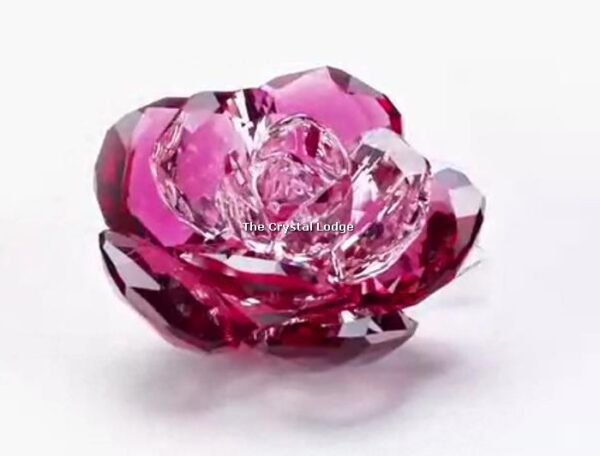 Swarovski_peony_2020_5493711 | The Crystal Lodge