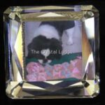 Swarovski_picture_frame_square_rhodium_Europe_010226_1_WM Swarovski_picture_frame_square_rhodium_Europe_010226 | The Crystal Lodge