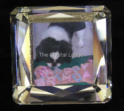 Swarovski_picture_frame_square_rhodium_Europe_010226 | The Crystal Lodge