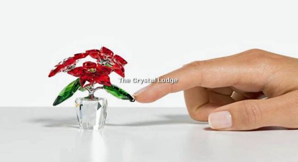 Swarovski_poinsettia_2020_issue_5538626 | The Crystal Lodge