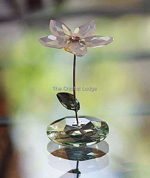 Swarovski_rocking_flower_Jess_1016645 | The Crystal Lodge