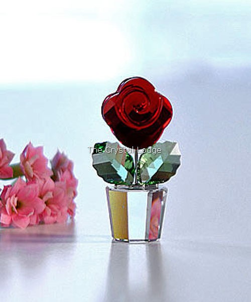Swarovski_rose_red_855896 | The Crystal Lodge