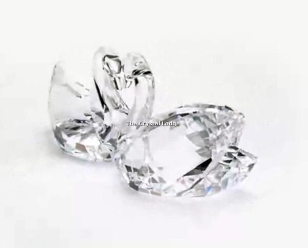 Swarovski_swan_couple_2020_5493713 | The Crystal Lodge