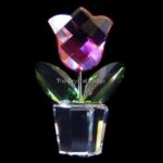 Swarovski_tulip_pink_657111_2_WM Swarovski_tulip_pink_657111 | The Crystal Lodge