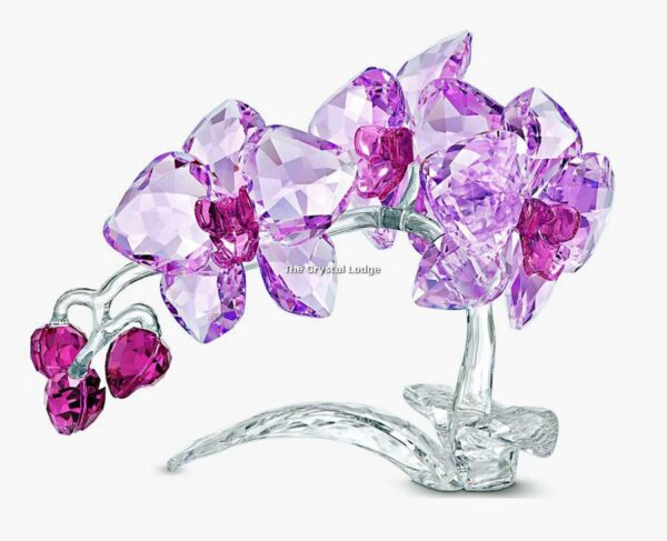 Swarovski_Paradise_Orchids_2020_5520373 | The Crystal Lodge