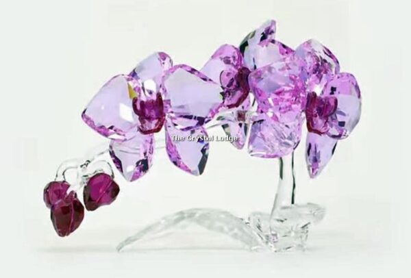 Swarovski_Paradise_Orchids_2020_5520373 | The Crystal Lodge