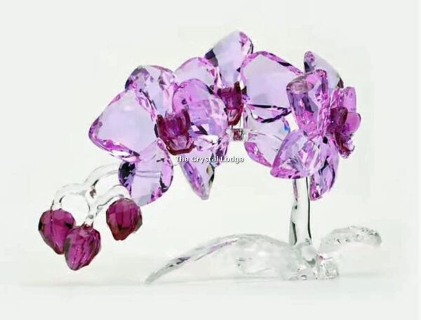 Swarovski_Paradise_Orchids_2020_5520373 | The Crystal Lodge