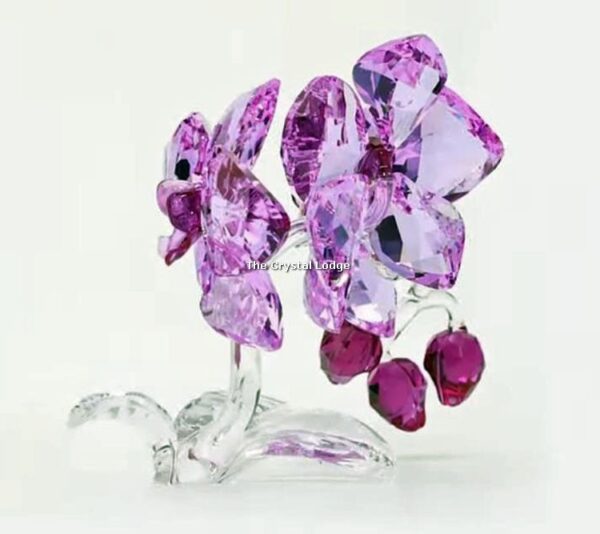 Swarovski_Paradise_Orchids_2020_5520373 | The Crystal Lodge