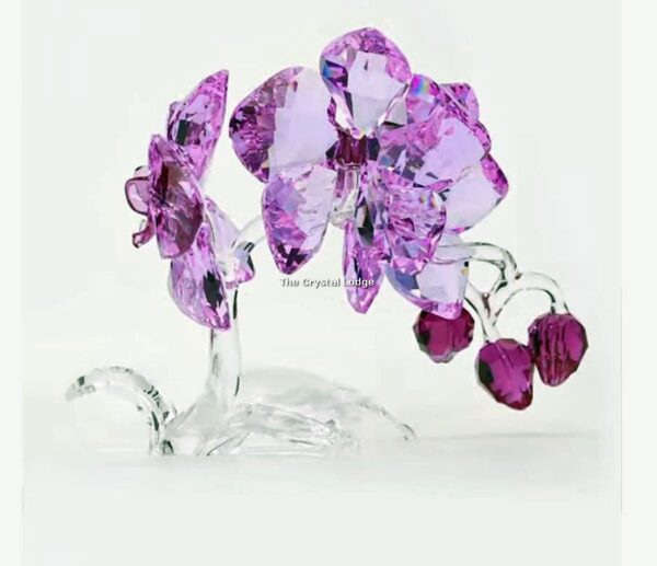 Swarovski_Paradise_Orchids_2020_5520373 | The Crystal Lodge