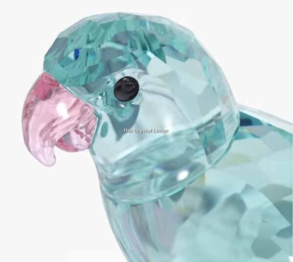 Swarovski_Jungle_Beats_Blue_Parakeet_Paco_5574519 | The Crystal Lodge