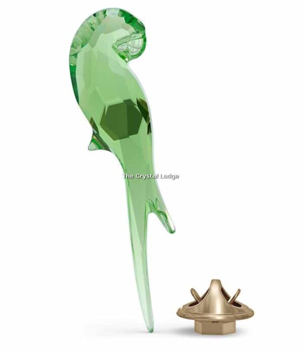 Swarovski_Jungle_Beats_Parrot_magnet_green_small_5557813 | The Crystal Lodge