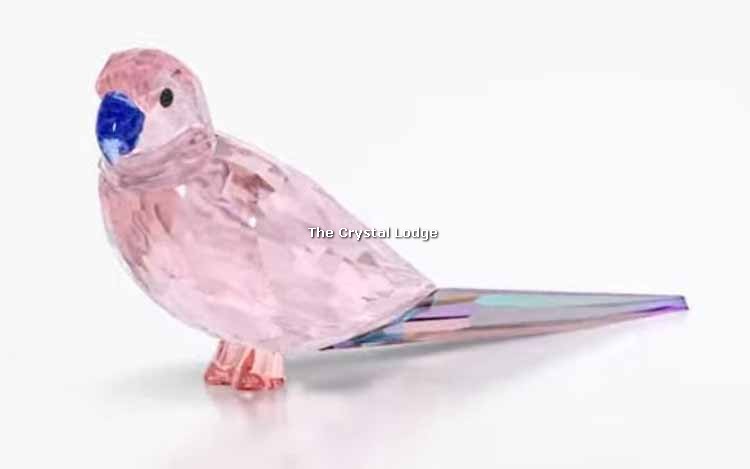 SWAROVSKI JUNGLE BEATS PINK PARAKEET CHA CHA 5557848 (For information only  – not for sale from us until officially retired by Swarovski)