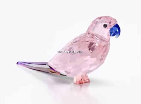 Swarovski_Jungle_Beats_Pink_Parakeet_Cha_Cha_5557848 | The Crystal Lodge