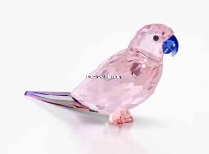 SWAROVSKI JUNGLE BEATS PINK PARAKEET CHA CHA 5557848 (For information only  – not for sale from us until officially retired by Swarovski)