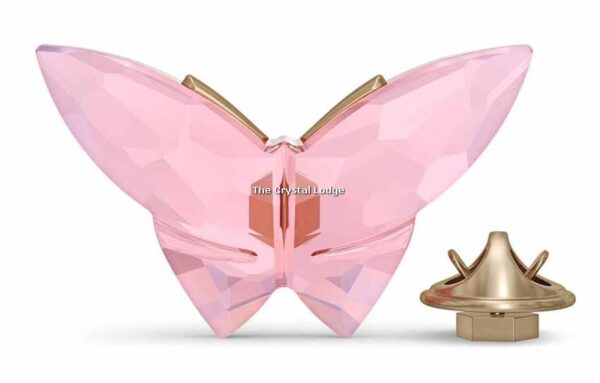 Swarovski_Jungle_beats_butterfly_magnet_pink_large_5572154 | The Crystal Lodge