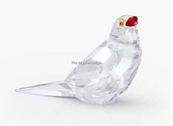 Swarovski_2021_event_Oxpecker_Kali_5557831 | The Crystal Lodge