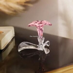 Swarovski_2021_renewal_gift_desert_rose_5557914 | The Crystal Lodge