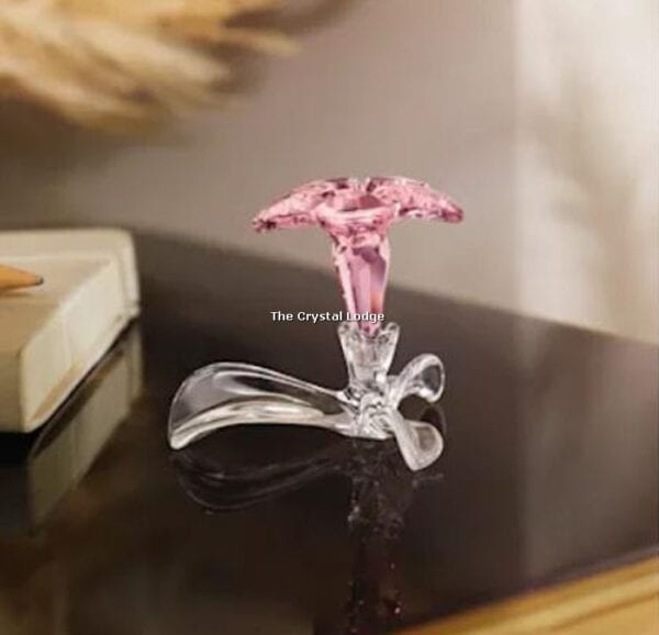 Swarovski_2021_renewal_gift_desert_rose_5557914 | The Crystal Lodge