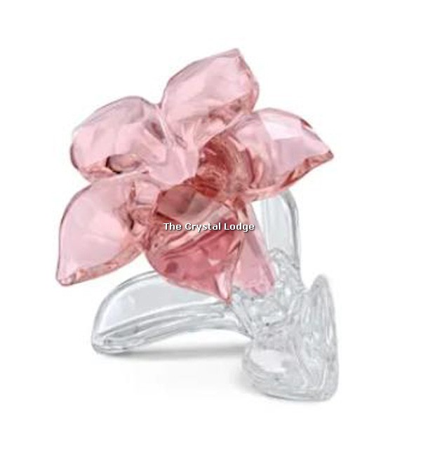 Swarovski_2021_renewal_gift_desert_rose_5557914 | The Crystal Lodge