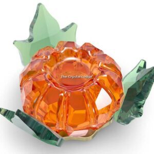 Swarovski_Garden_Tales_Magnet_Pumpkin_Large_5594492 | The Crystal Lodge