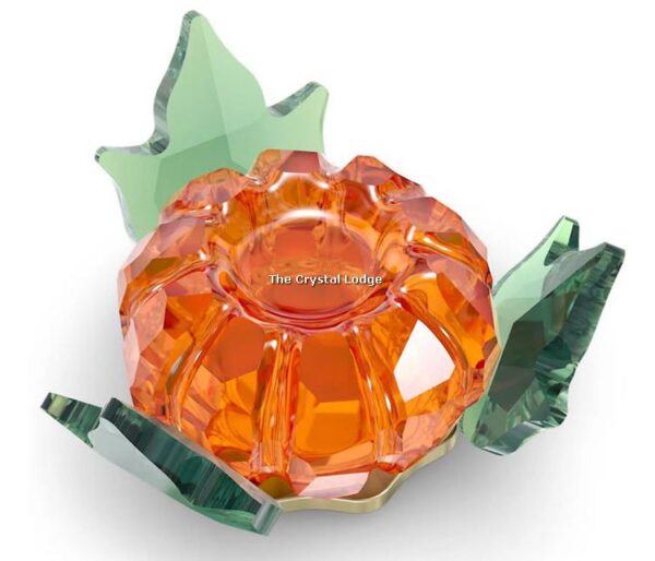 Swarovski_Garden_Tales_Magnet_Pumpkin_Large_5594492 | The Crystal Lodge