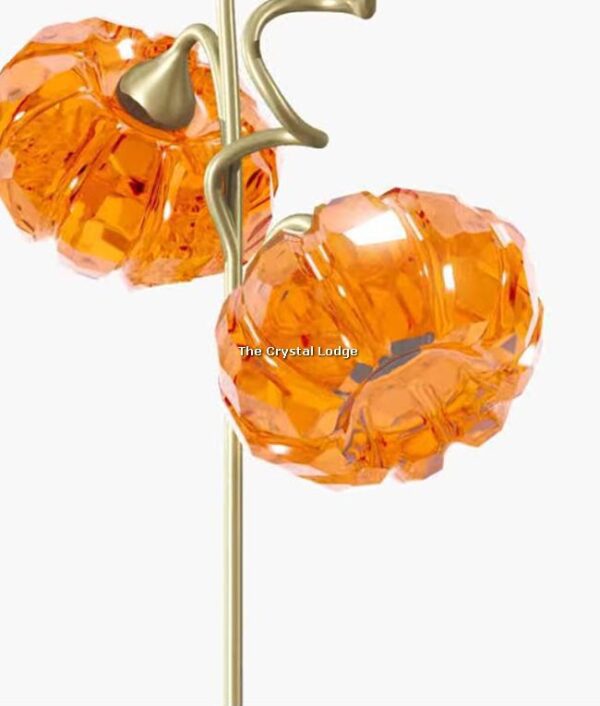 Swarovski_Garden_Tales_Pumpkin_5586702 | The Crystal Lodge