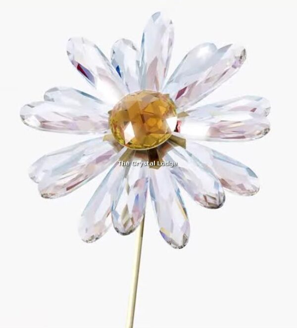 Swarovski_Garden_Tales_Daisy_5619221 | The Crystal Lodge