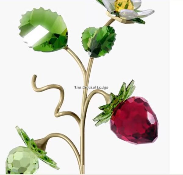 Swarovski_Garden_Tales_Wild_Strawberry_5619232 | The Crystal Lodge