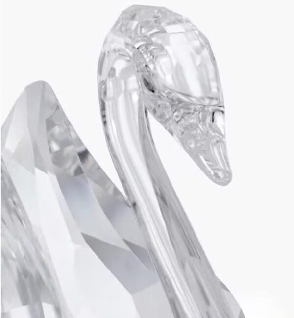 Swarovski_Swan_signum_large_5613256 | The Crystal Lodge