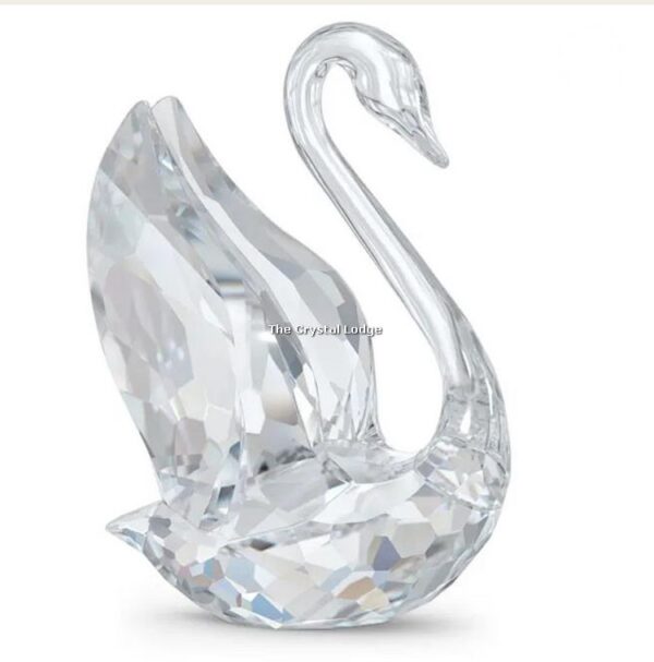 Swarovski_swan_signum_medium_5613255 | The Crystal Lodge