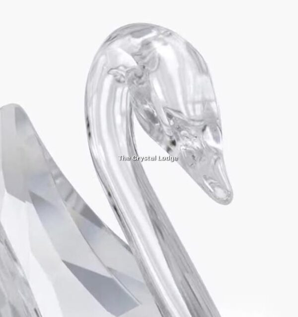 Swarovski signum swan small 5613254 | The Crystal Lodge