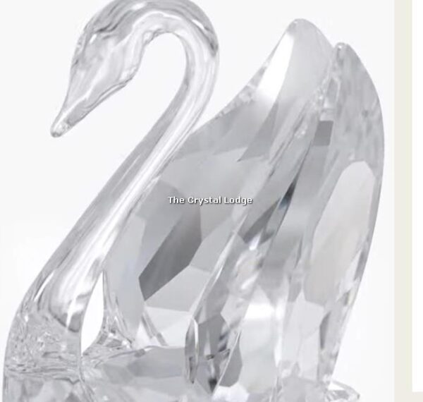 Swarovski signum swan small 5613254 | The Crystal Lodge