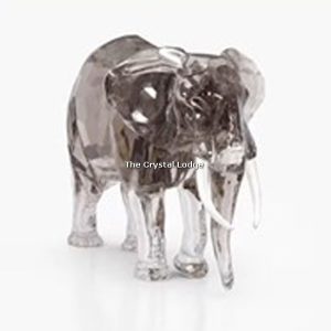 Swarovski current crystal - SCS member items (for information only)