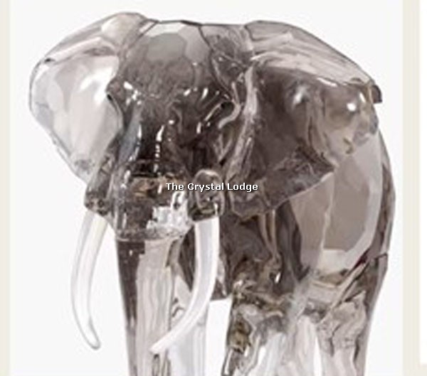 Swarovski_Elegance_of_Africa_SCS_2022_annual_edition_elephant_Fayola 5604555 | The Crystal Lodge
