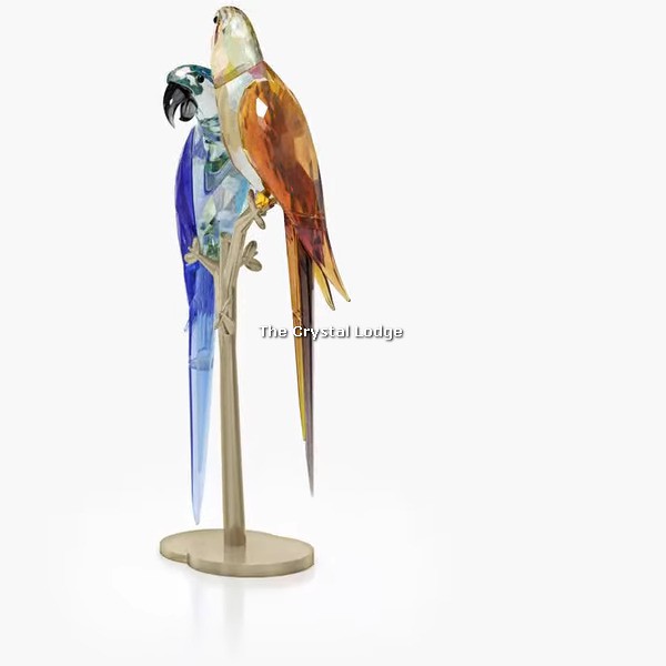 Swarovski_Jungle_Beats_Parrot_couple_Bell_and_Brio_5619218 | The Crystal Lodge