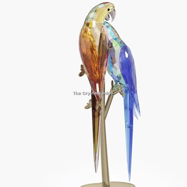 Swarovski_Jungle_Beats_Parrot_couple_Bell_and_Brio_5619218 | The Crystal Lodge