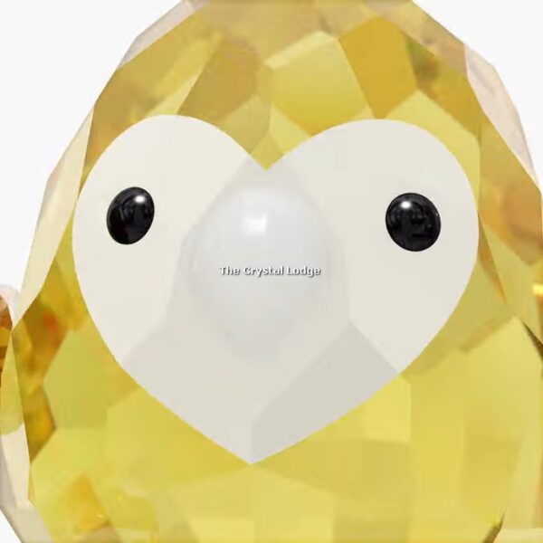 Swarovski_All_you_need_are_birds_Love_bird_couple_5644844 | The Crystal Lodge